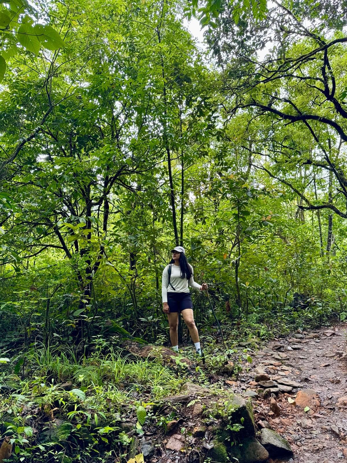 Hiking through a dense green forest trail