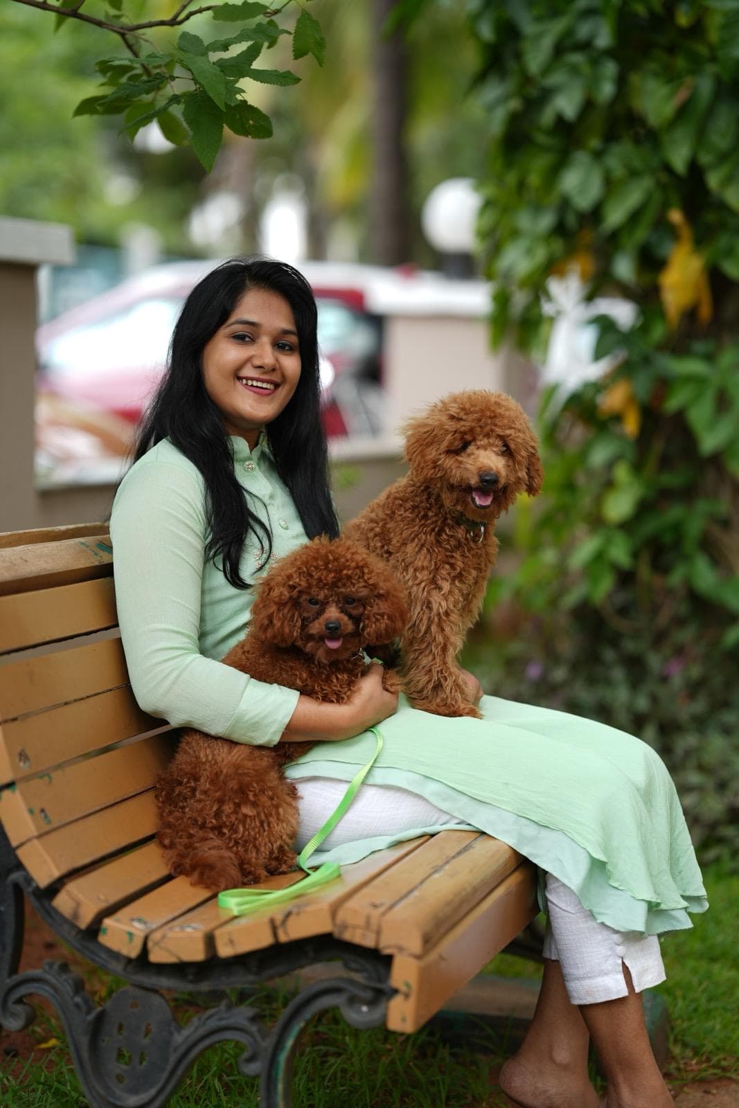 Sitting on a park bench with two poodle puppies